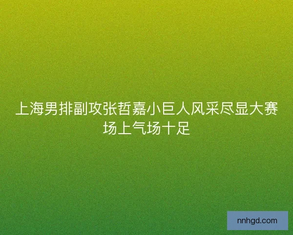 上海男排副攻张哲嘉小巨人风采尽显大赛场上气场十足